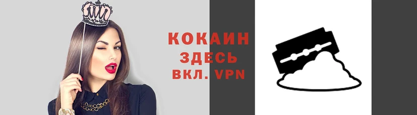 гашик Алзамай
