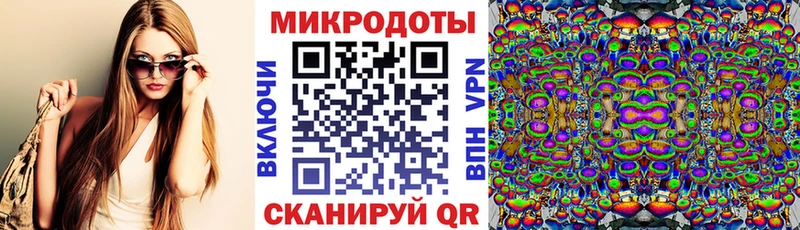 hydra ТОР  Перевоз  Псилоцибиновые грибы мицелий 